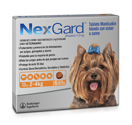 NexGard 2-4kg