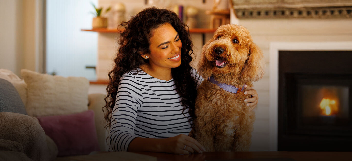 Nexgard antipulgas perros